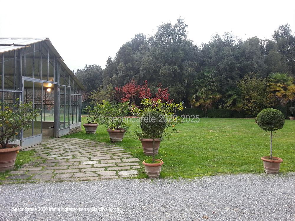 La serra di villa Bonvisi Oliva  Lucca